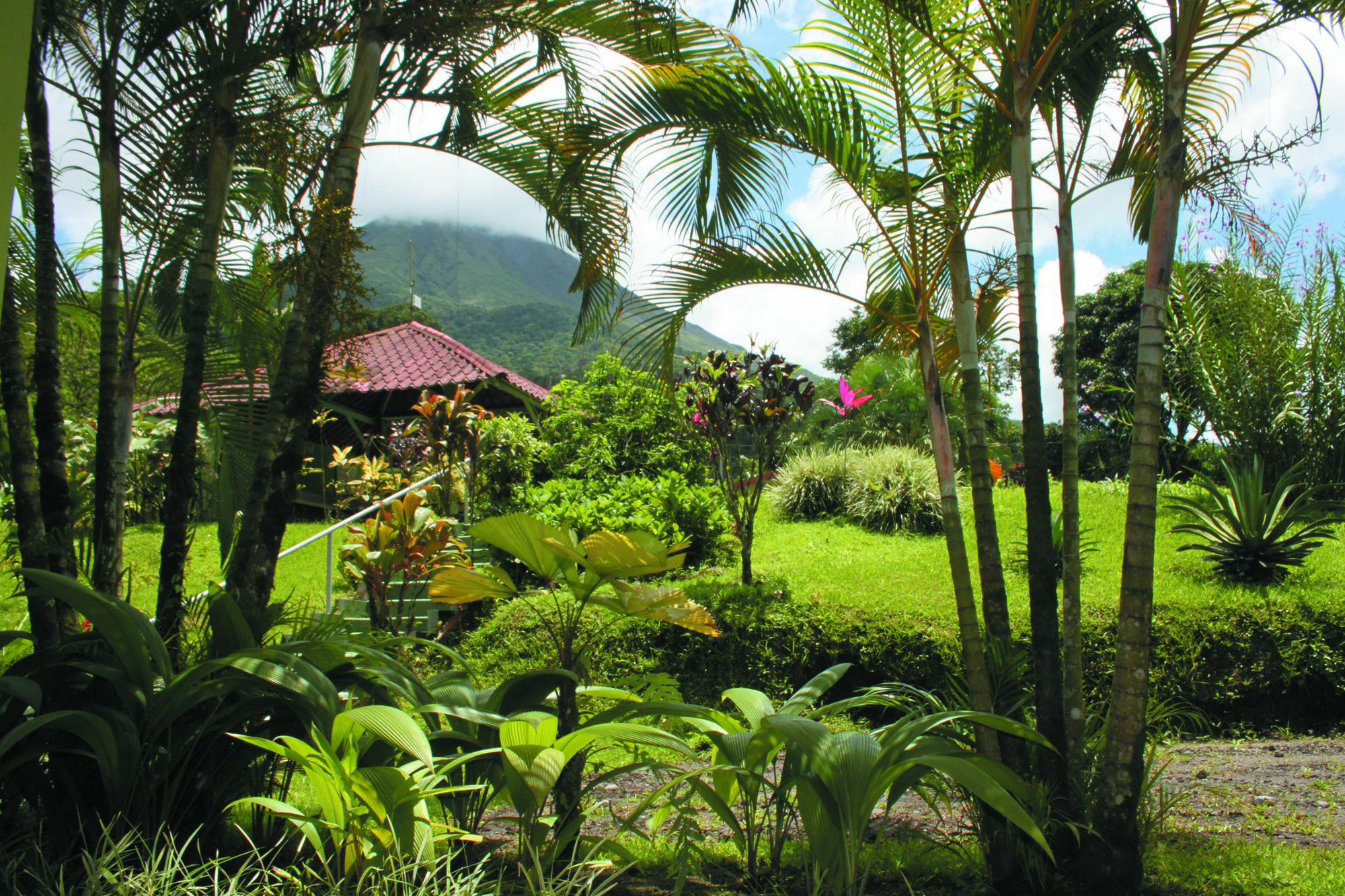 Loma Real Hot Springs Bed & Breakfast La Fortuna Εξωτερικό φωτογραφία